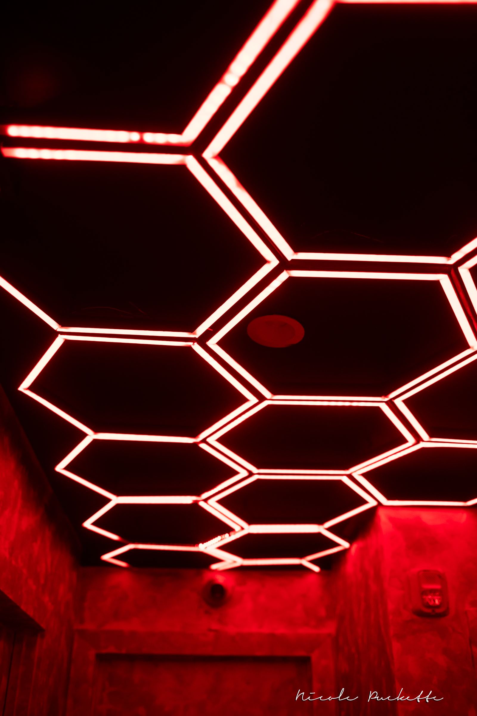 Red honeycomb ceiling